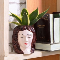 Sansevieria Lotus Potted In Beautifully Face