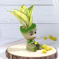 Golden Sanseveria in Happy Groot