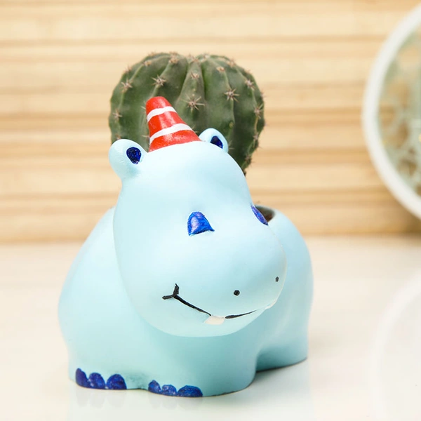 Incredible Ball Cactus In Happy Hippo