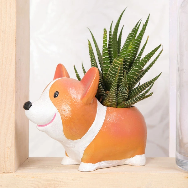 Haworthia Potted In Cute Fox Pot