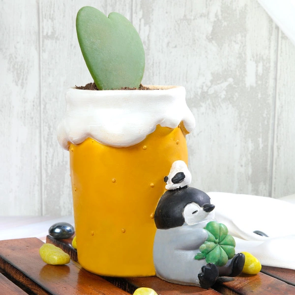 Hoya Heart In Sleeping penguin Pot