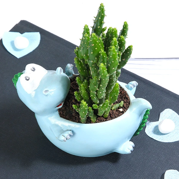 Monacanta Cactus In Resting Dinosaur