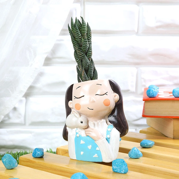 Haworthia Chhutia In Rabbit Holder Girl