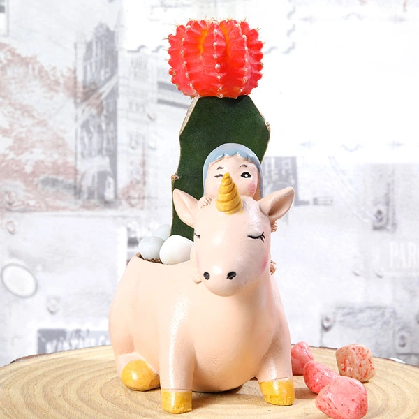 Moon Cactus In Unicorn