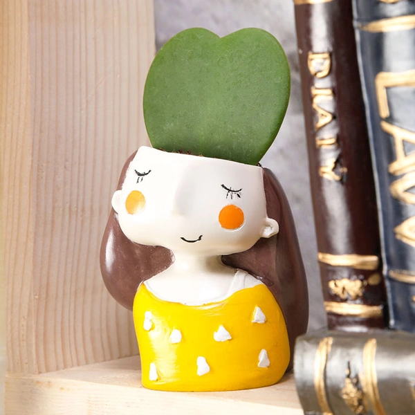 Hoya Heart Attraction