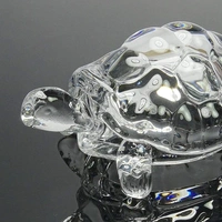 Glass Ka Turtle Kachua