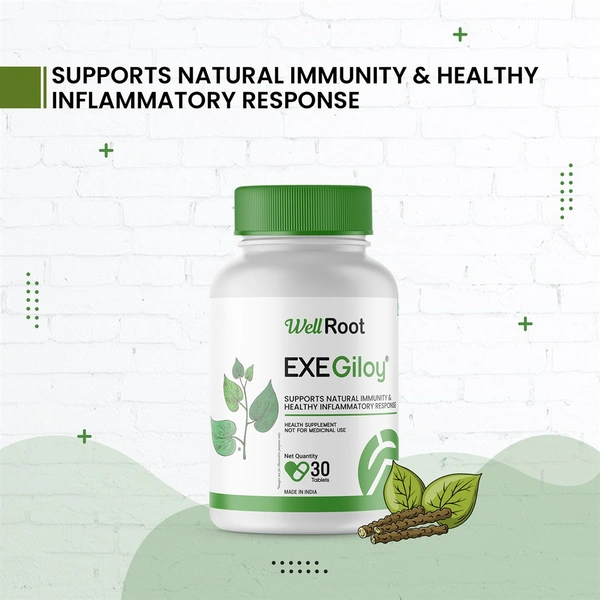 GILOY TABLET - 30 Number