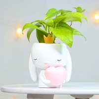 Money Plant in Heart Bunny