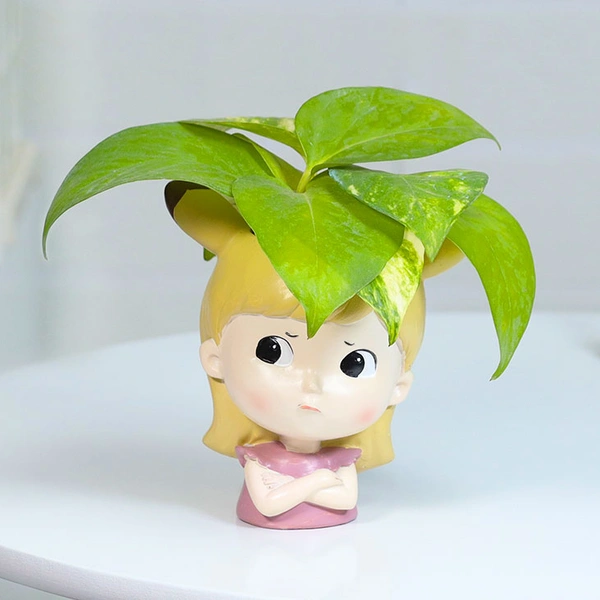 Money Plant For Angry Friend