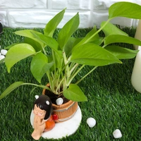 Golden Money Plant In Cute Resting Lady