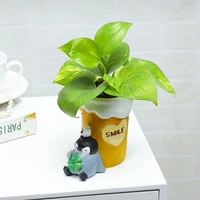 Resting Penguin Under Money Plant