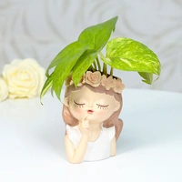 Thinking Fairy Money Plant