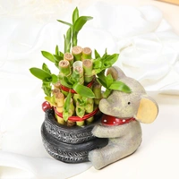 Baby Elephant With Lucky Charm Bamboo