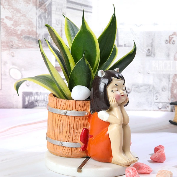 Senseveria Lotus Plant with Cute Girl