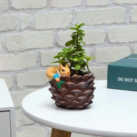 Jade Plant In Squirrel Coconut