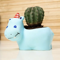 Incredible Ball Cactus In Happy Hippo