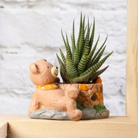 Haworthia In Sitting Bear Pot