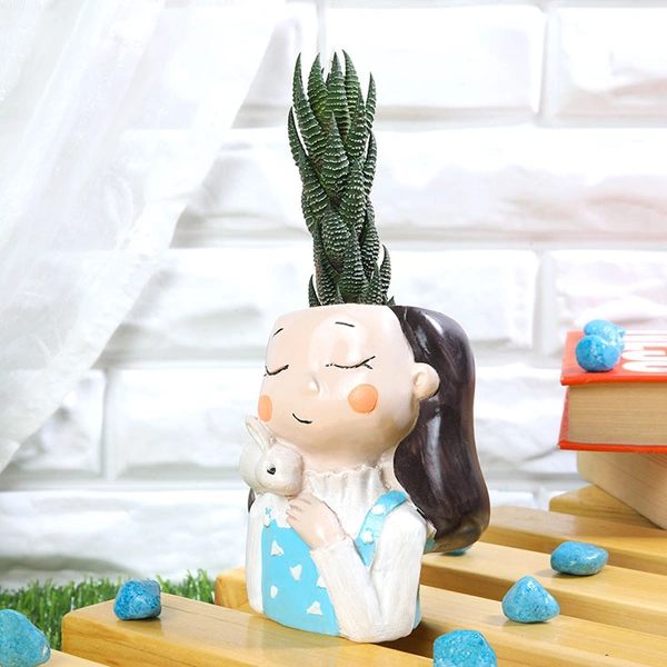 Haworthia Chhutia In Rabbit Holder Girl