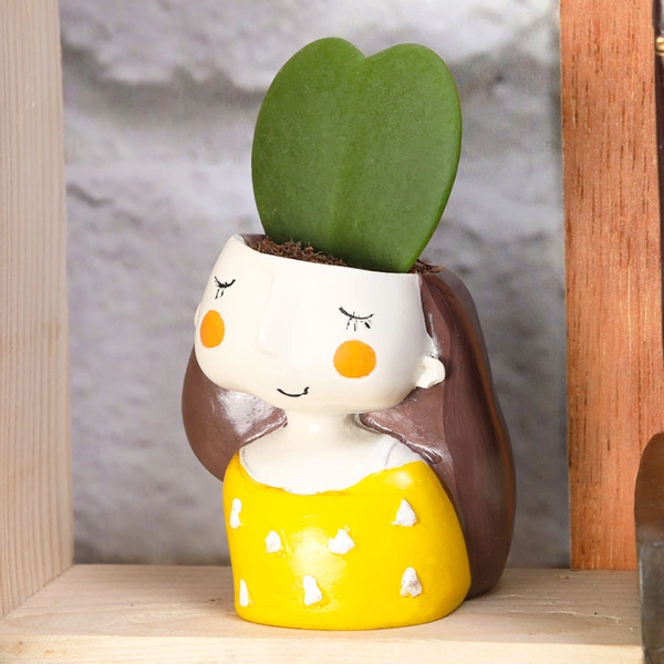 Hoya Heart Attraction