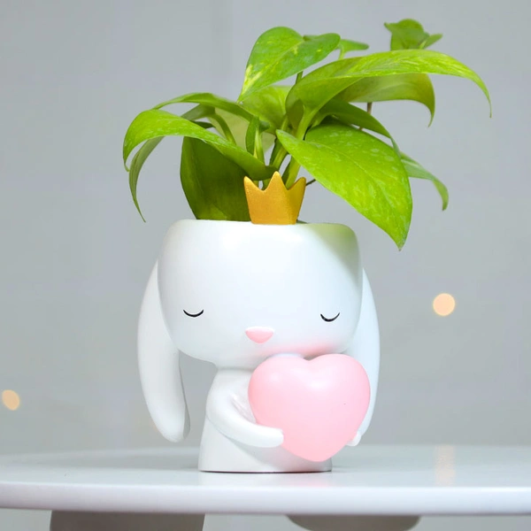 Money Plant in Heart Bunny