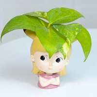 Money Plant For Angry Friend