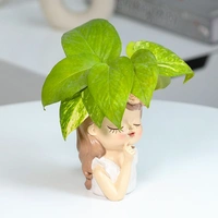 Thinking Fairy Money Plant