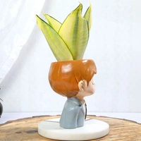 Golden Lotus Sansevieria In Office Boy