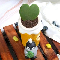 Hoya Heart In Sleeping penguin Pot