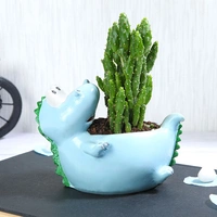 Monacanta Cactus In Resting Dinosaur