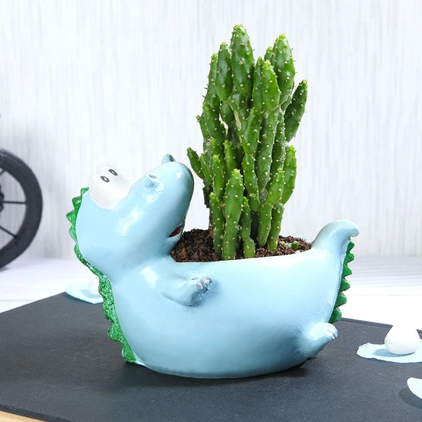 Monacanta Cactus In Resting Dinosaur