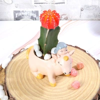 Moon Cactus In Unicorn