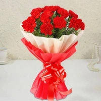 10 Red Carnations Bouquet
