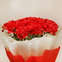 10 Red Carnations Bouquet
