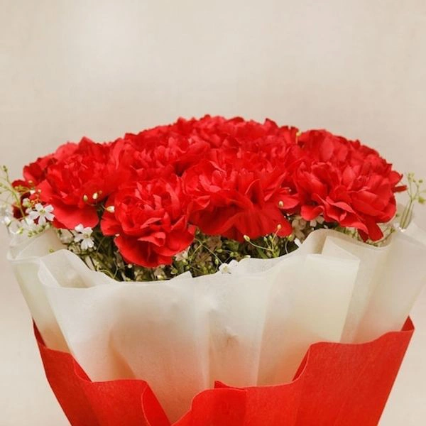 10 Red Carnations Bouquet