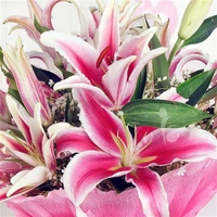 5 Pink Lilies Bouquet