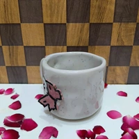 Choti Pink Butterfly