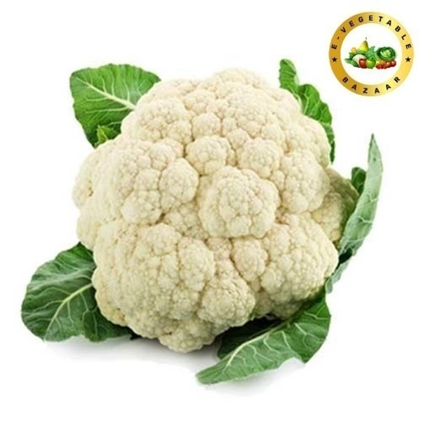 Cauliflower (फूलगोभी) - 1kg