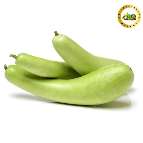 Bottle Gourd (लोकी) - 500g