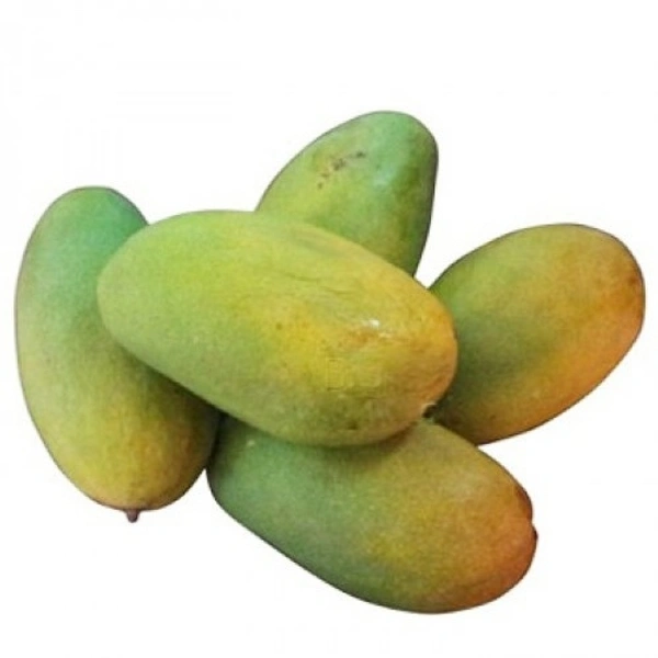 Dasheri Mango (दशहरी आम)