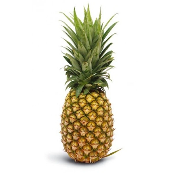 Pineapple (अनन्नास)