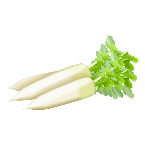 Radish (मूली) - 1 BUNCH