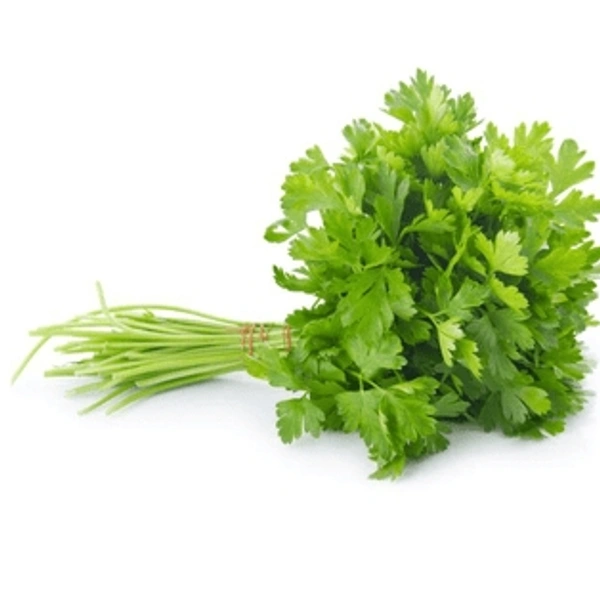 Coriander (धनिया) - 100g