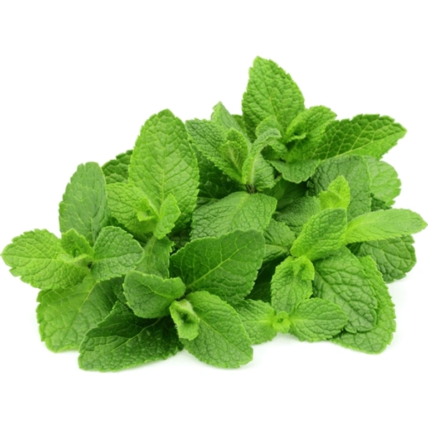 Mint Leaves (पुदीना) - 100g