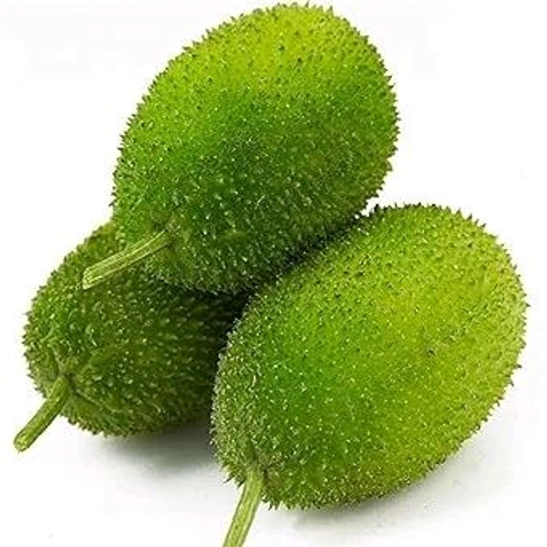 Spiny Gourd / Kakoda (Big) - 250g