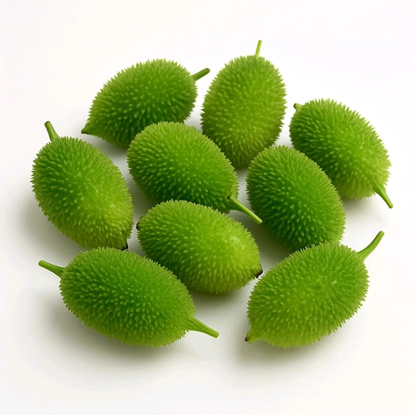 Spiny Gourd (काकोडा)