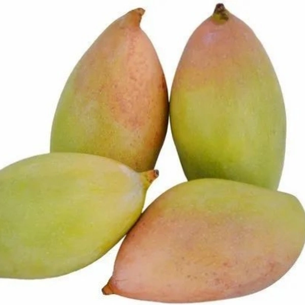 Totapari Mango