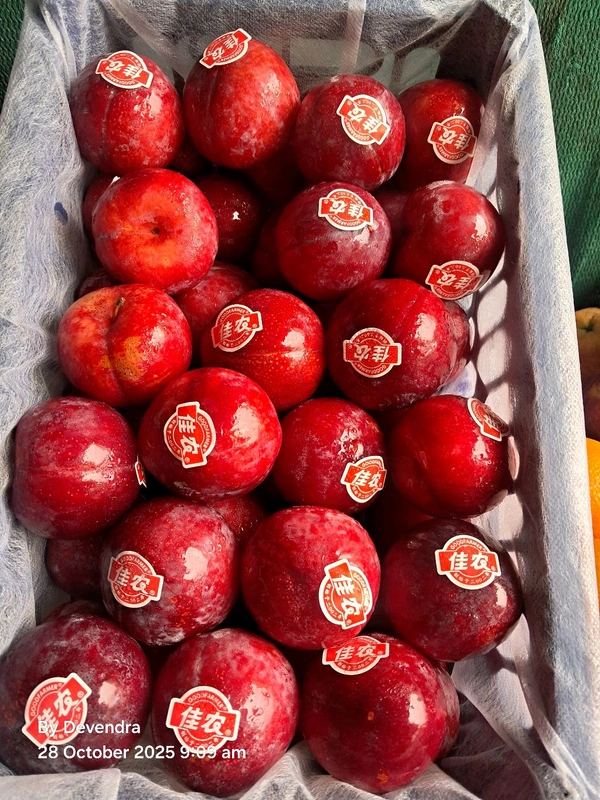Plum / Aalubukhara - 500g