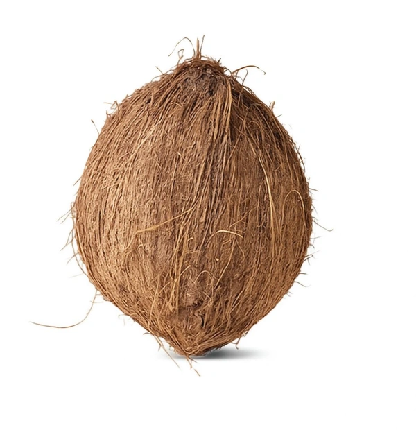 Coconut / Nariyal - Medium