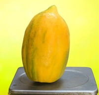 Papaya / Papita - 500g
