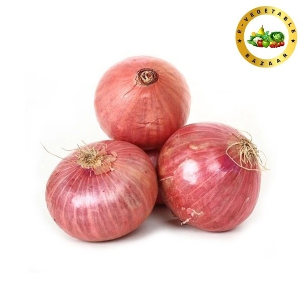 Onion (प्याज)